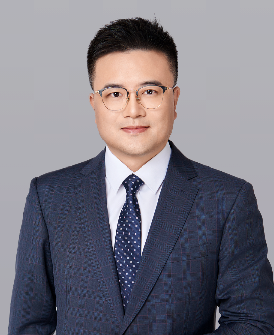 陳成春 先生